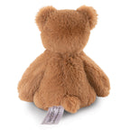 Buddy Bear Bundle