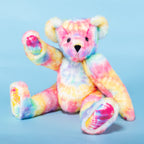 15 In. Special Edition Groovy Hugs Bear