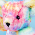 15 In. Special Edition Groovy Hugs Bear