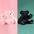 20 In. Limited Edition Spellbound Bundle