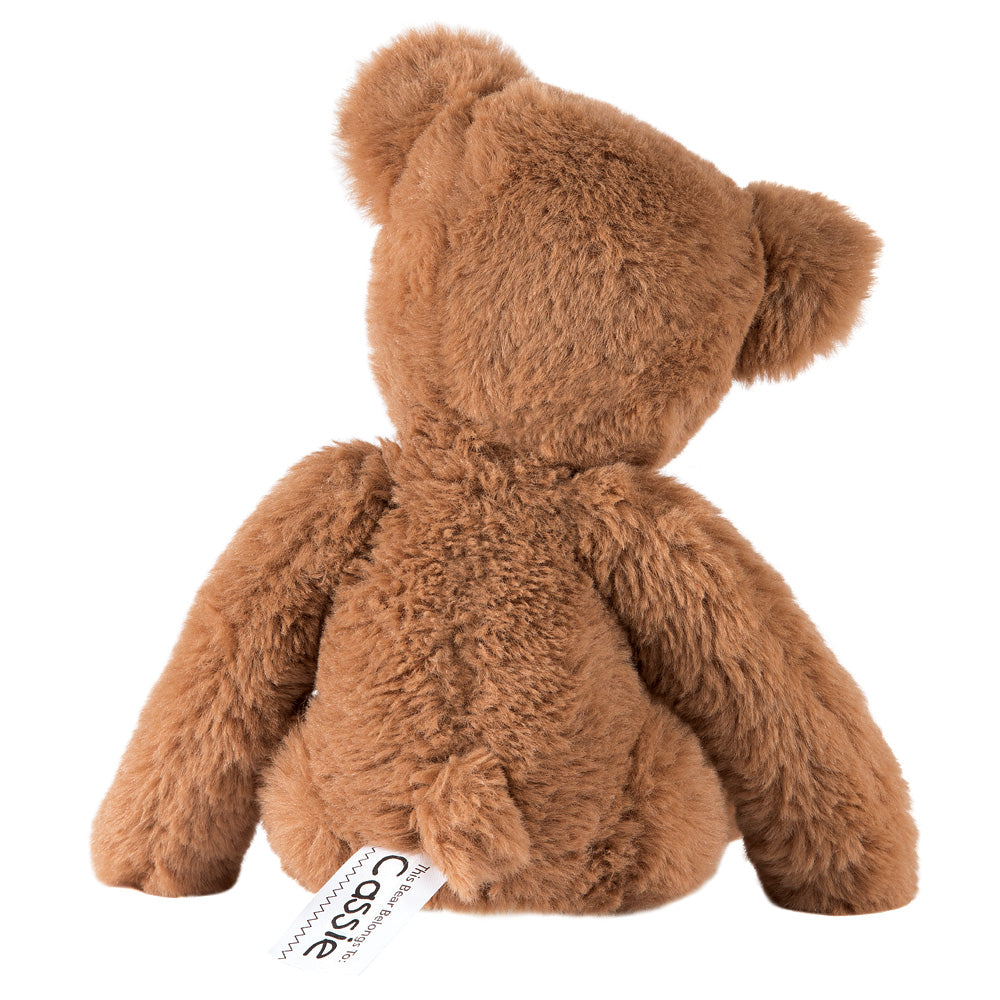 Buddy Bear Bundle