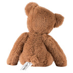 Buddy Bear Bundle